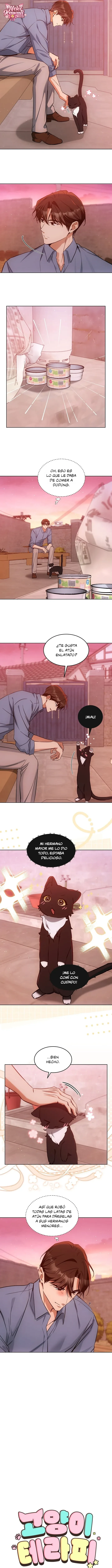 Terapia de gatos Capitulo 32 página 4