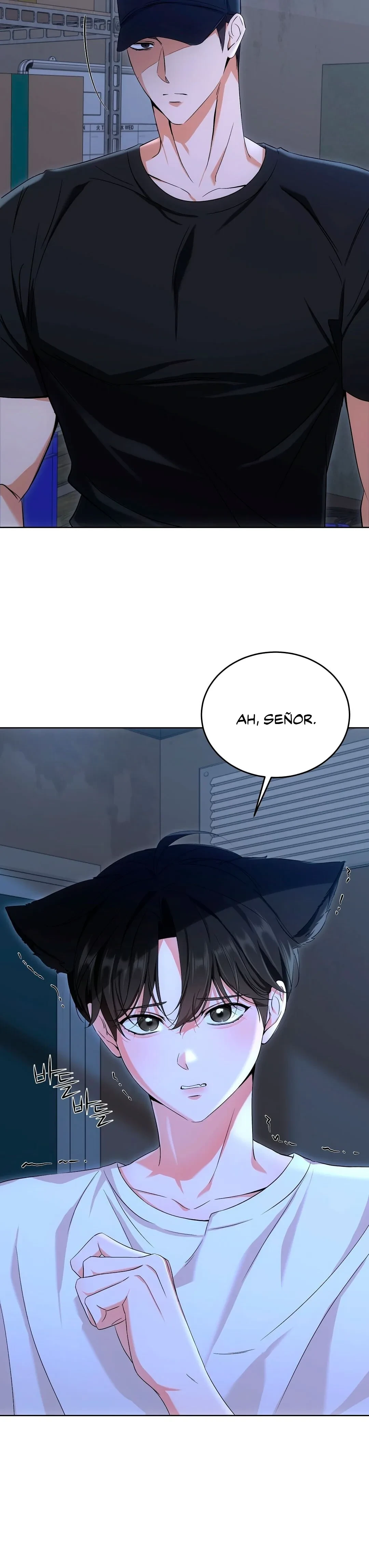 Terapia de gatos Capitulo 4 página 25