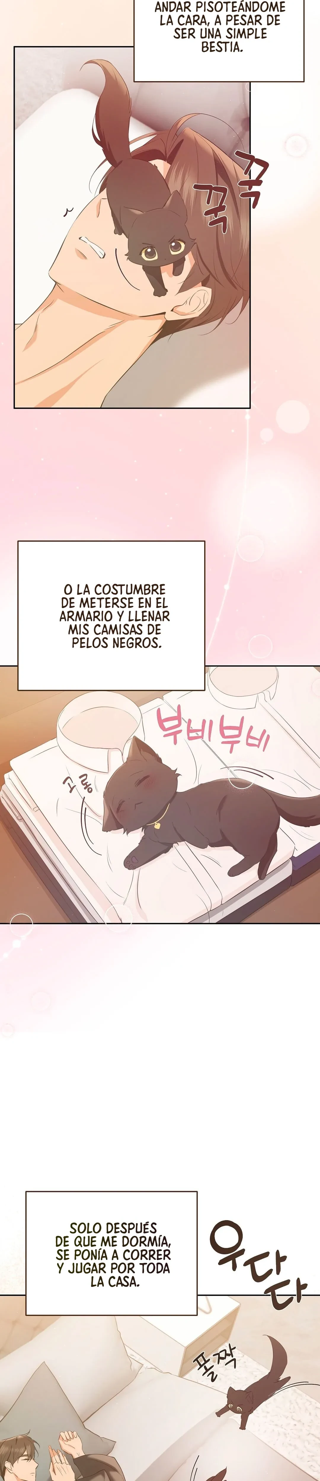Terapia de gatos Capitulo 4 página 7