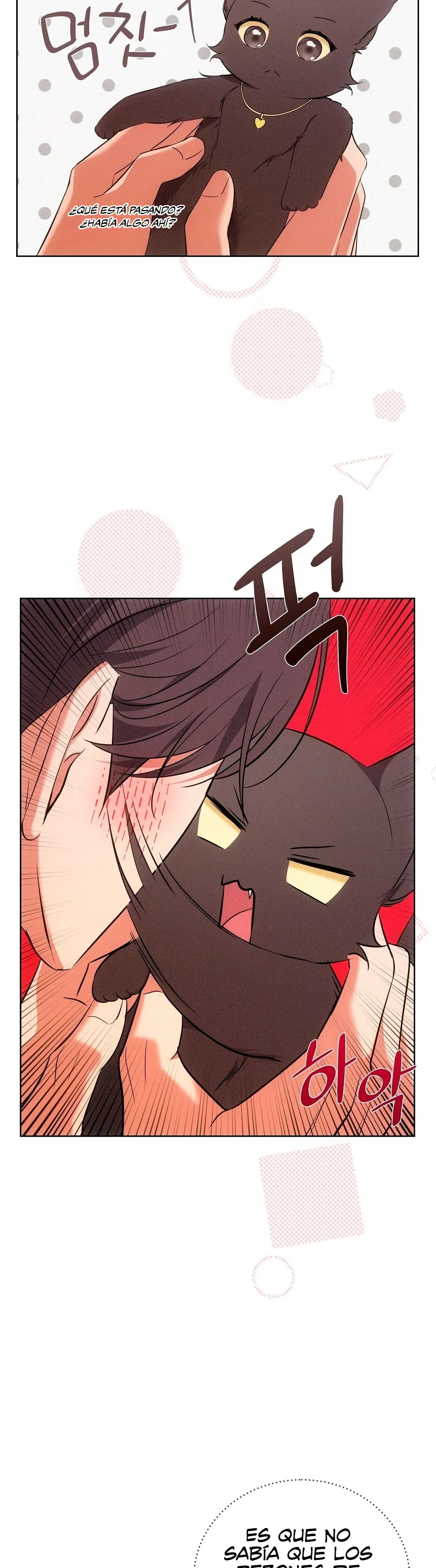Terapia de gatos Capitulo 6 página 17