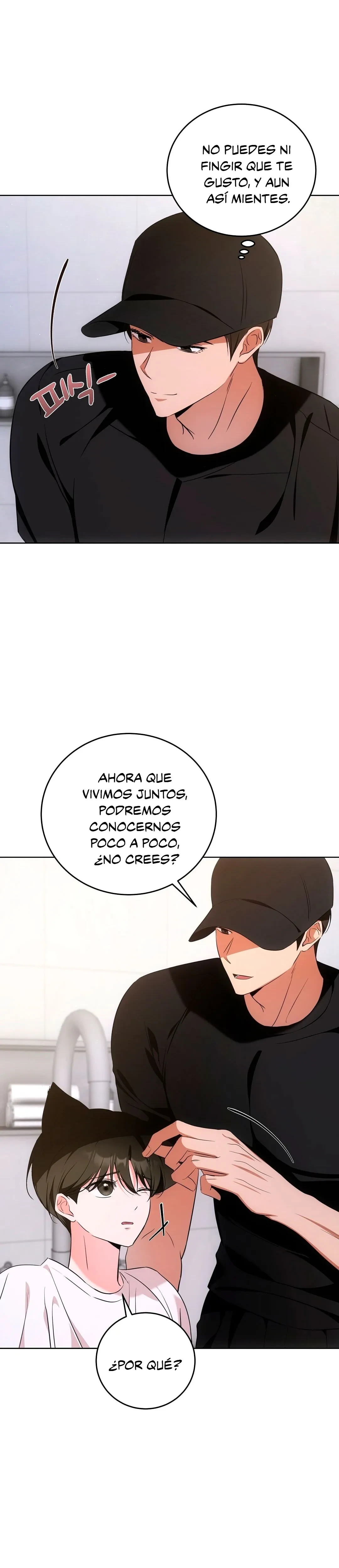 Terapia de gatos Capitulo 6 página 24