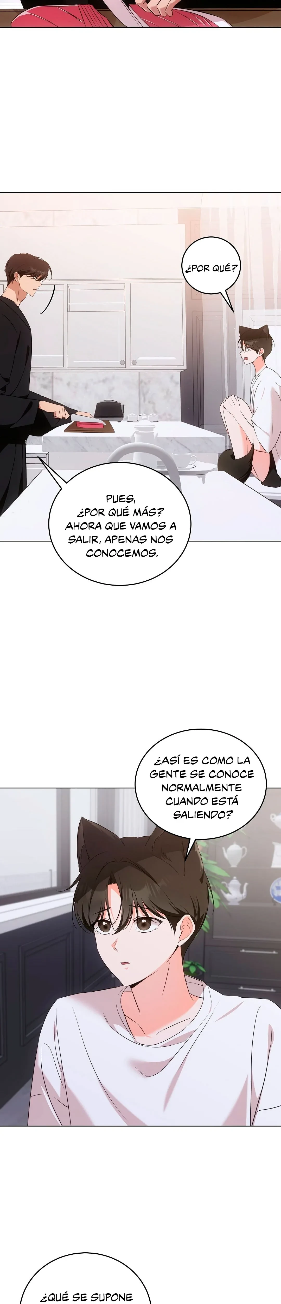 Terapia de gatos Capitulo 7 página 15