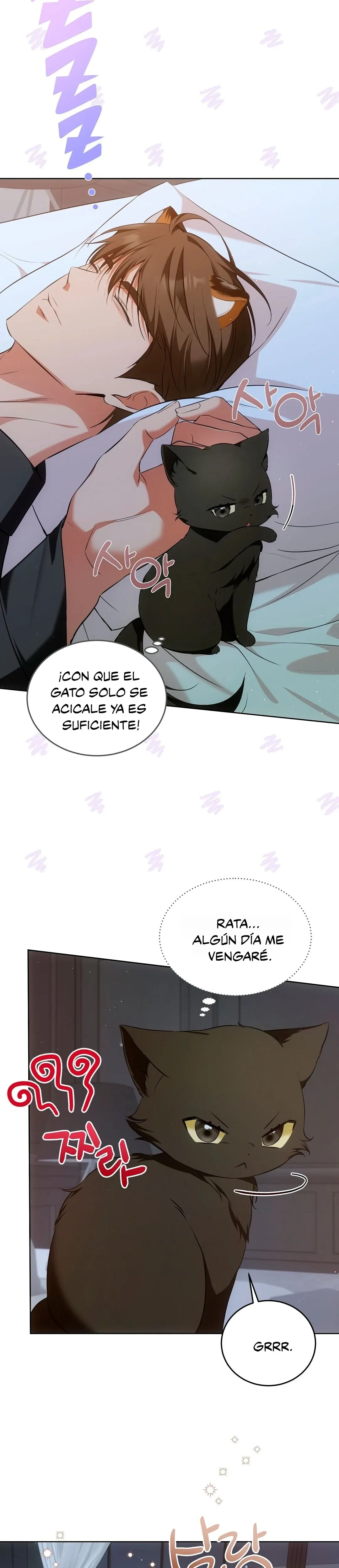 Terapia de gatos Capitulo 7 página 4