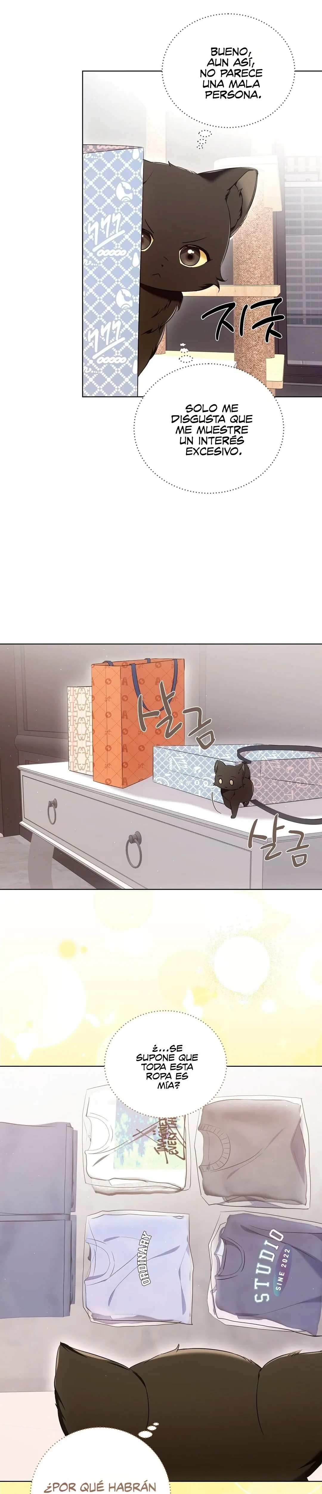 Terapia de gatos Capitulo 8 página 15