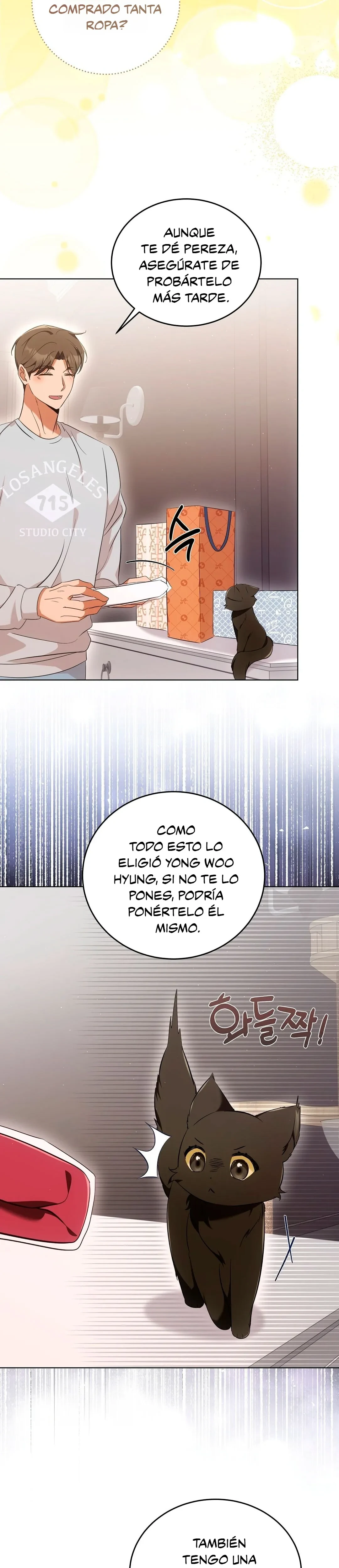 Terapia de gatos Capitulo 8 página 16