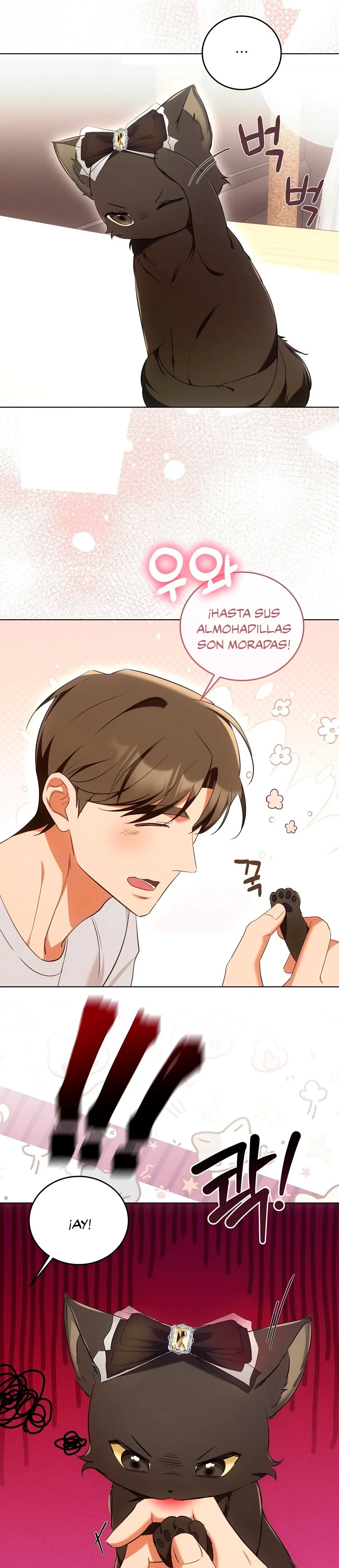Terapia de gatos Capitulo 8 página 18