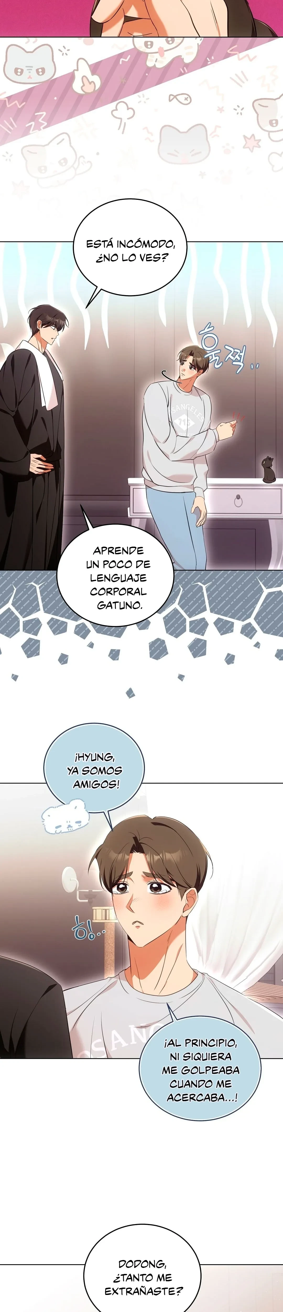 Terapia de gatos Capitulo 8 página 19