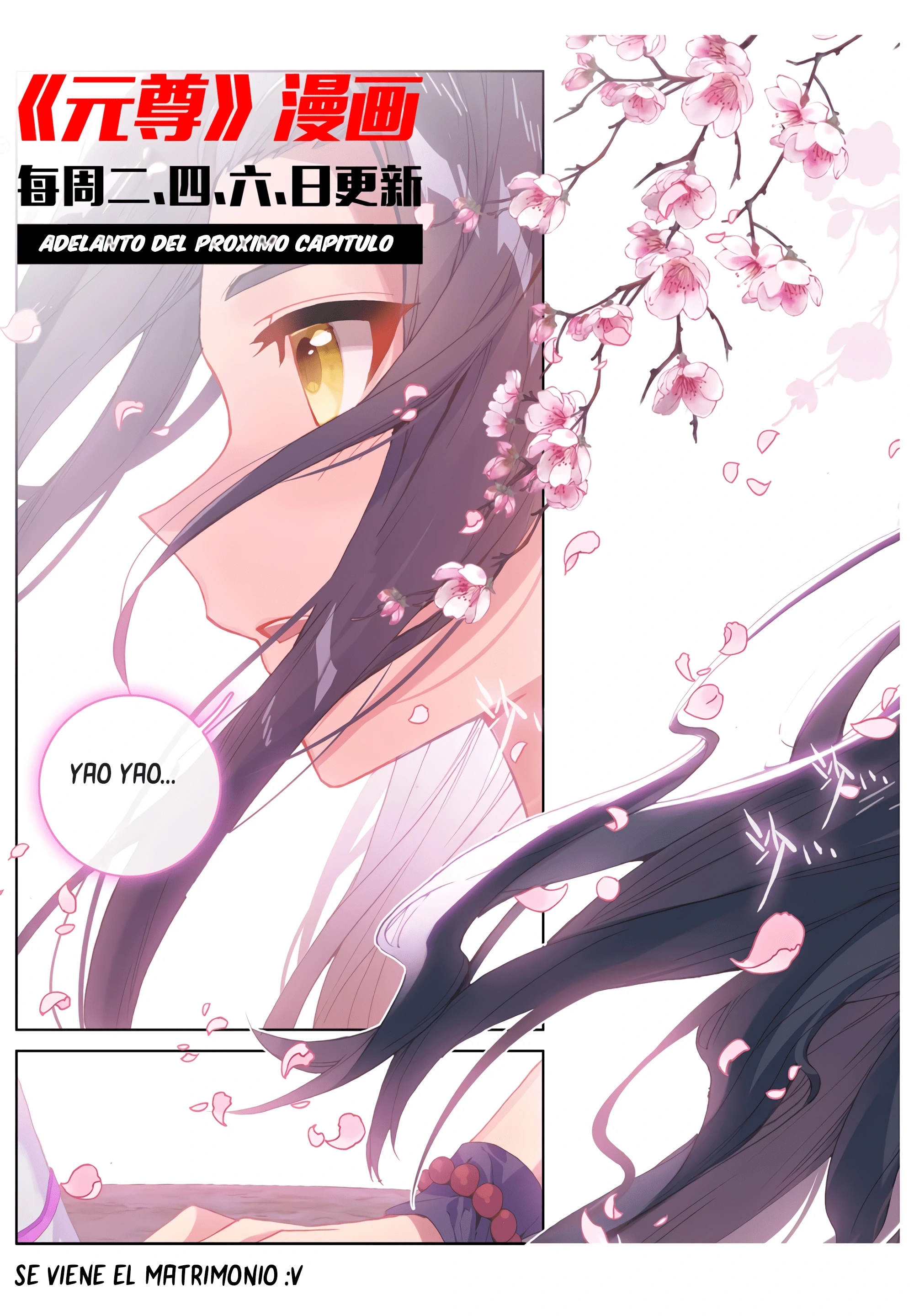 Yuan Zun Capitulo 599 página 11