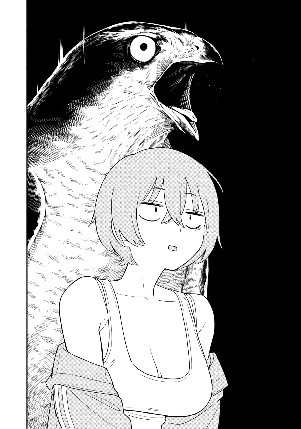 El halcón nocturno ataca de nuevo Capitulo 1: El Halcón Negro ataca de nuevo (Por ahora) página 33