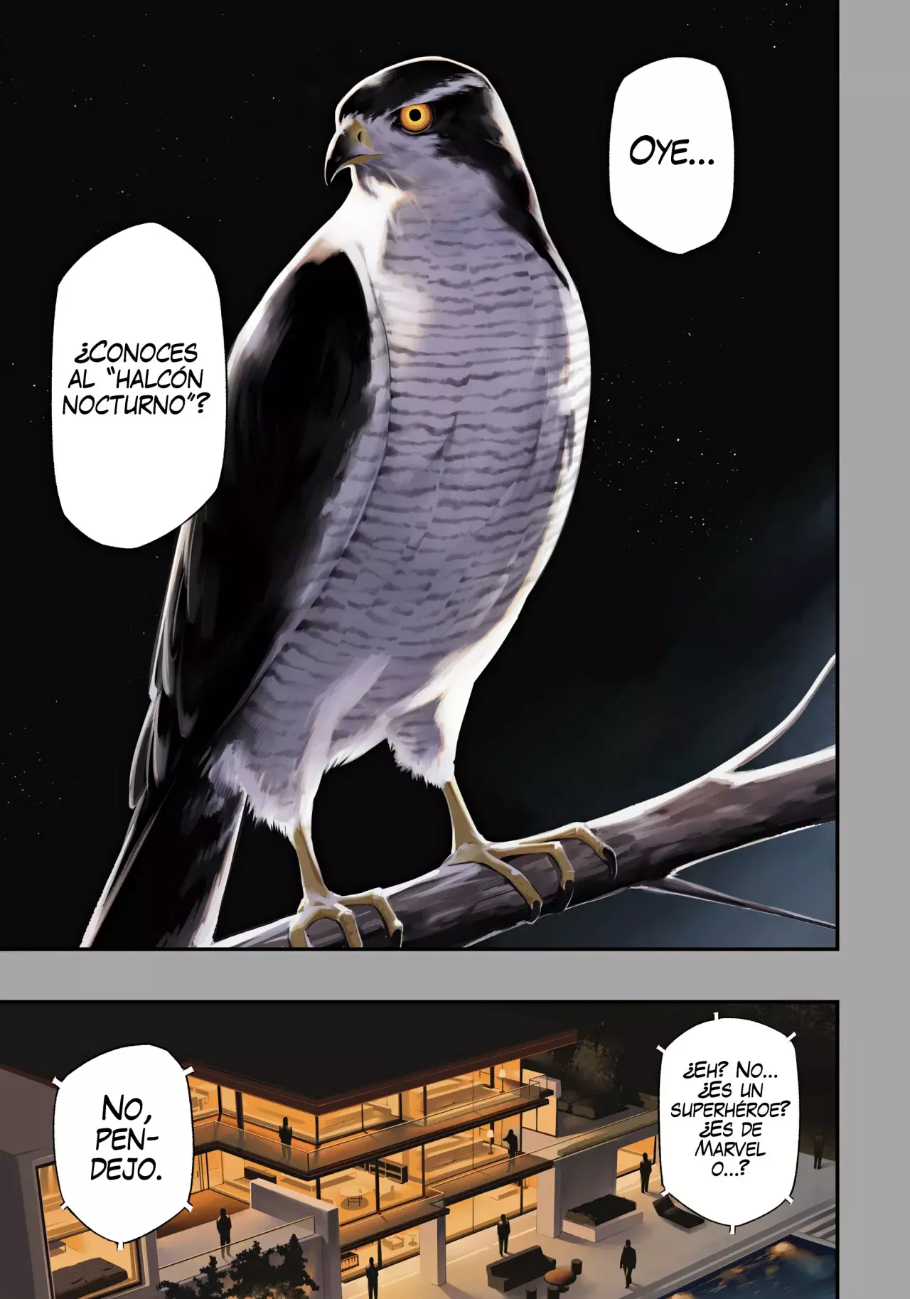 El halcón nocturno ataca de nuevo Capitulo 1: El Halcón Negro ataca de nuevo (Por ahora) página 4
