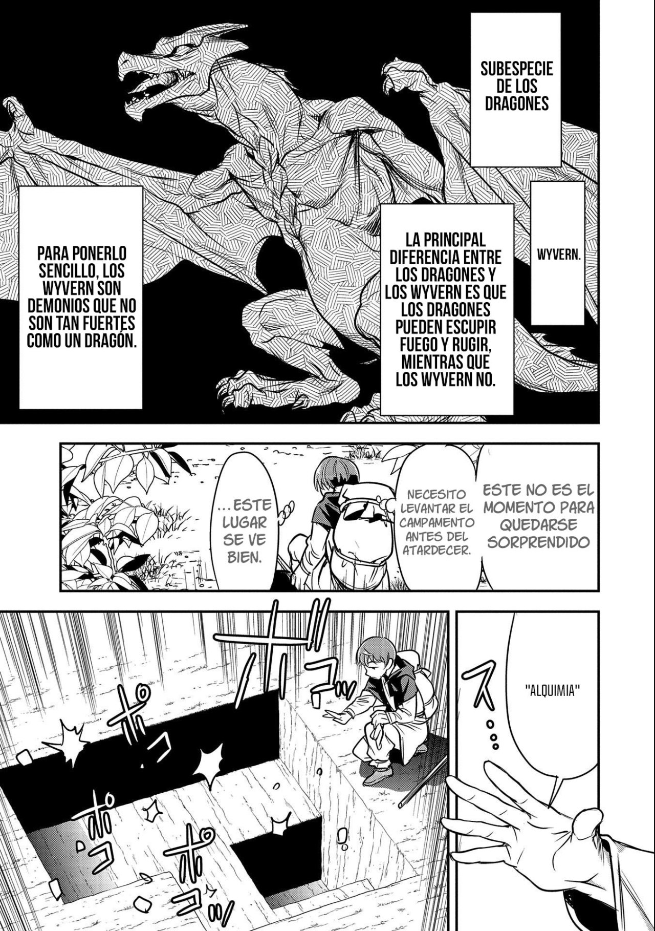 Chōnin A wa Akuyaku Reijō o Dōshite mo Sukuitai Capitulo 5: Valle de los Dragones Voladores página 10