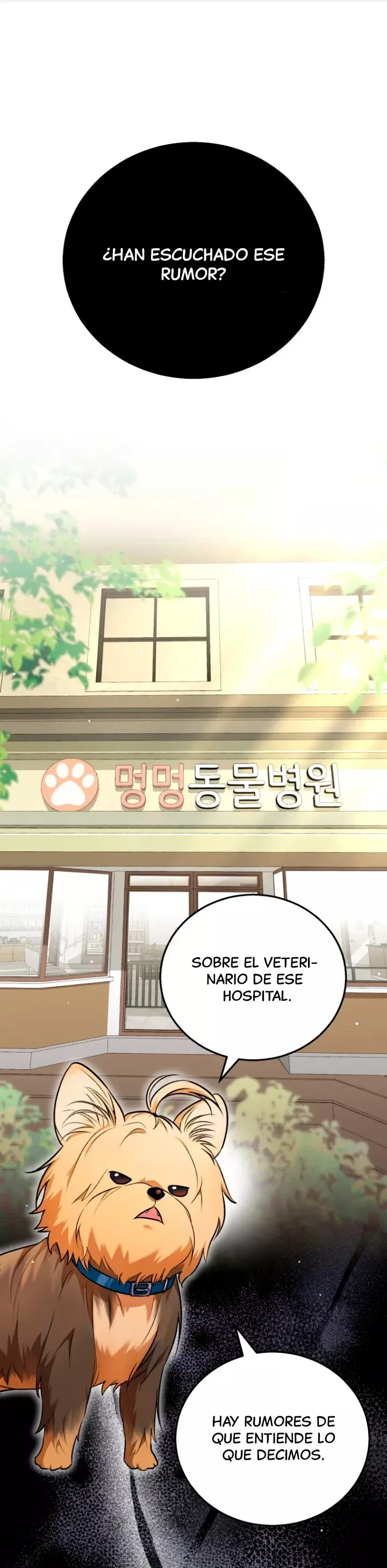 ¡Veterinario! ¿Hola? Capitulo 1 página 2