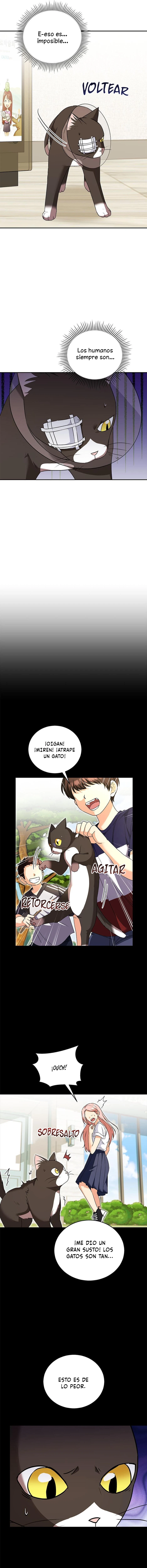 ¡Veterinario! ¿Hola? Capitulo 28 página 6