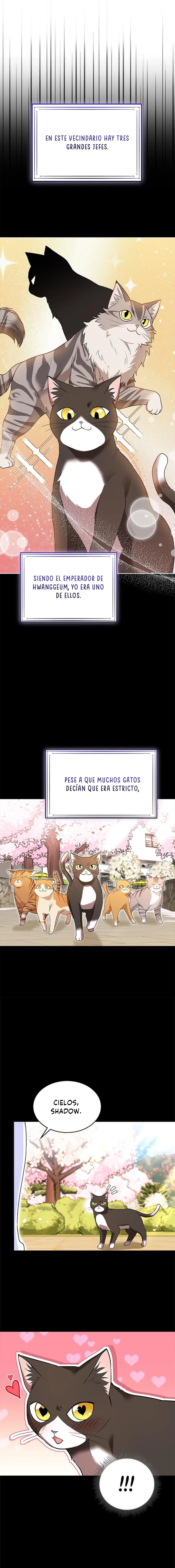 ¡Veterinario! ¿Hola? Capitulo 30 página 13