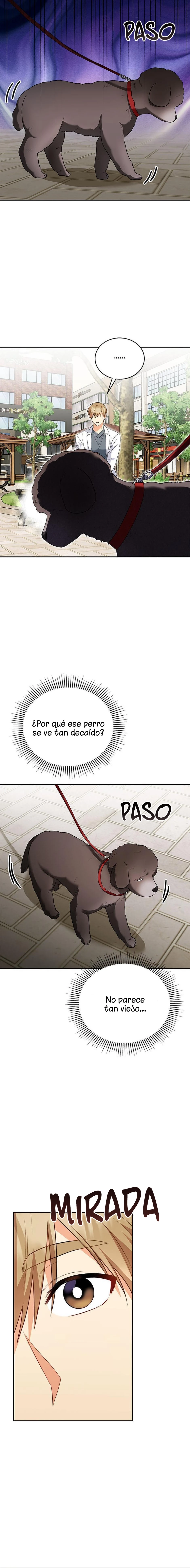 ¡Veterinario! ¿Hola? Capitulo 31 página 9