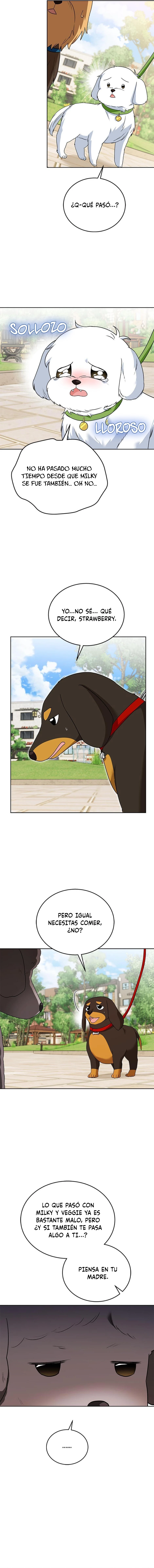 ¡Veterinario! ¿Hola? Capitulo 32 página 13