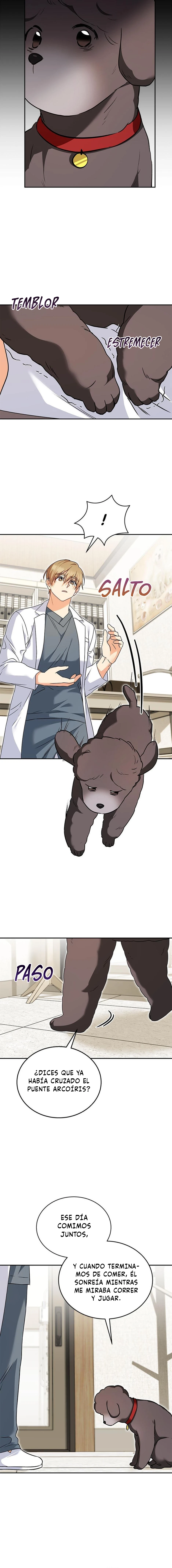 ¡Veterinario! ¿Hola? Capitulo 34 página 13