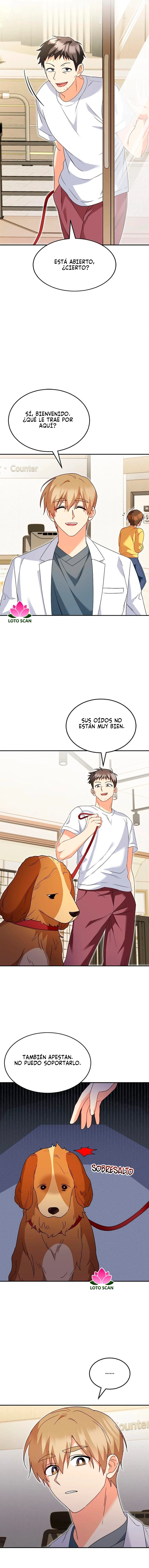 ¡Veterinario! ¿Hola? Capitulo 42 página 4