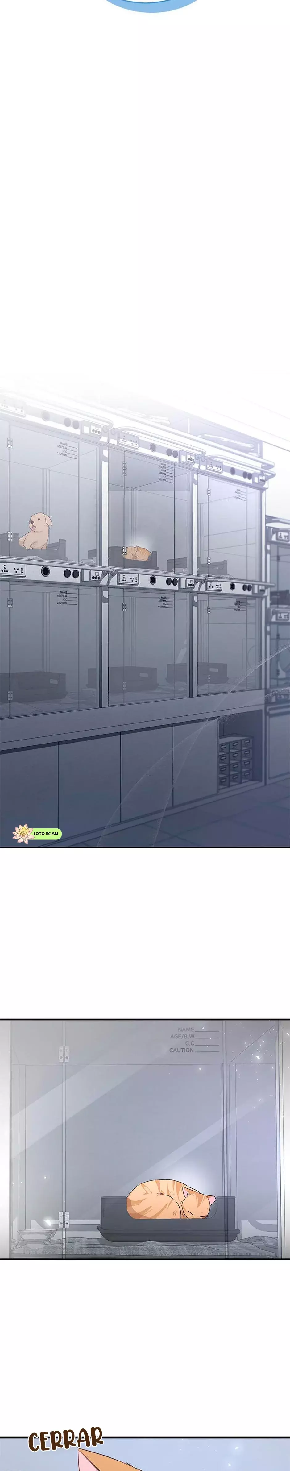 ¡Veterinario! ¿Hola? Capitulo 7 página 7