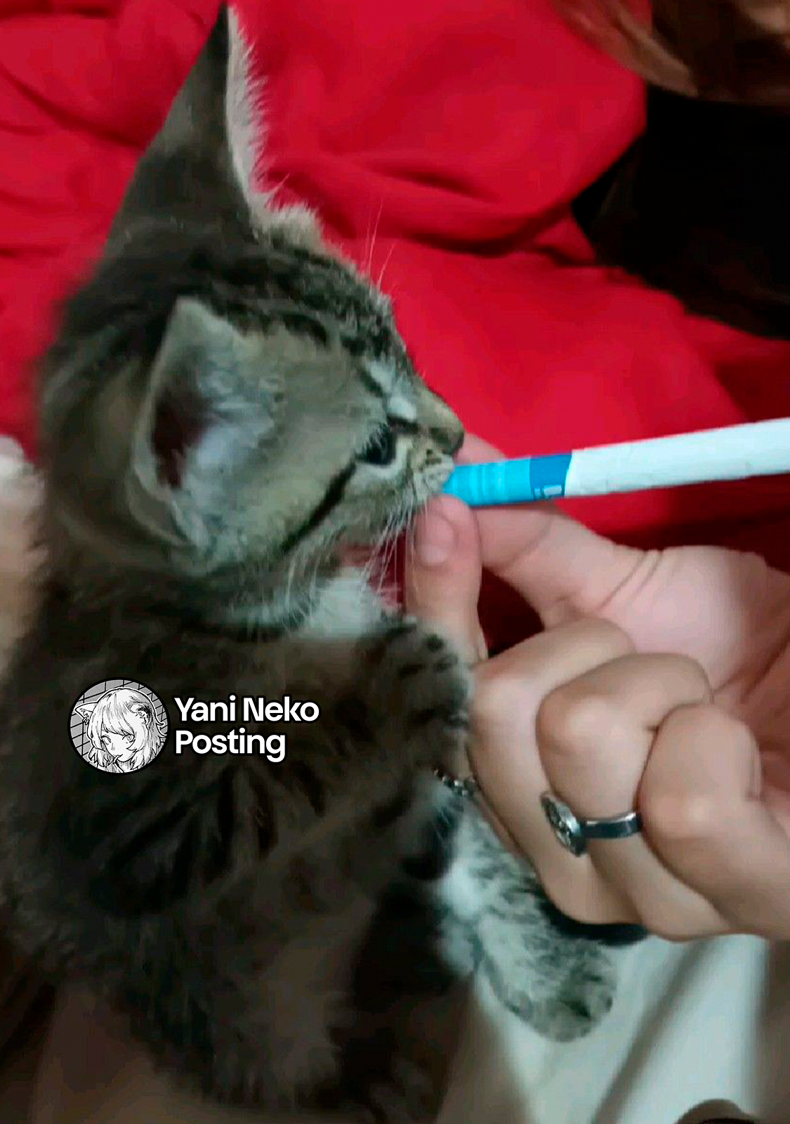 NICOTINEKO Capitulo 104 página 5