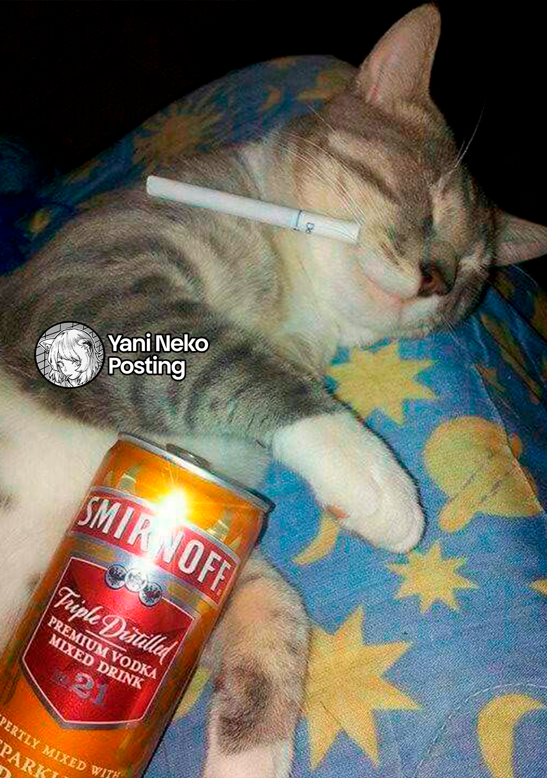 NICOTINEKO Capitulo 108 página 5