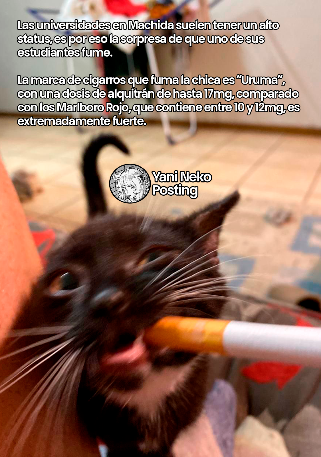 NICOTINEKO Capitulo 112 página 5