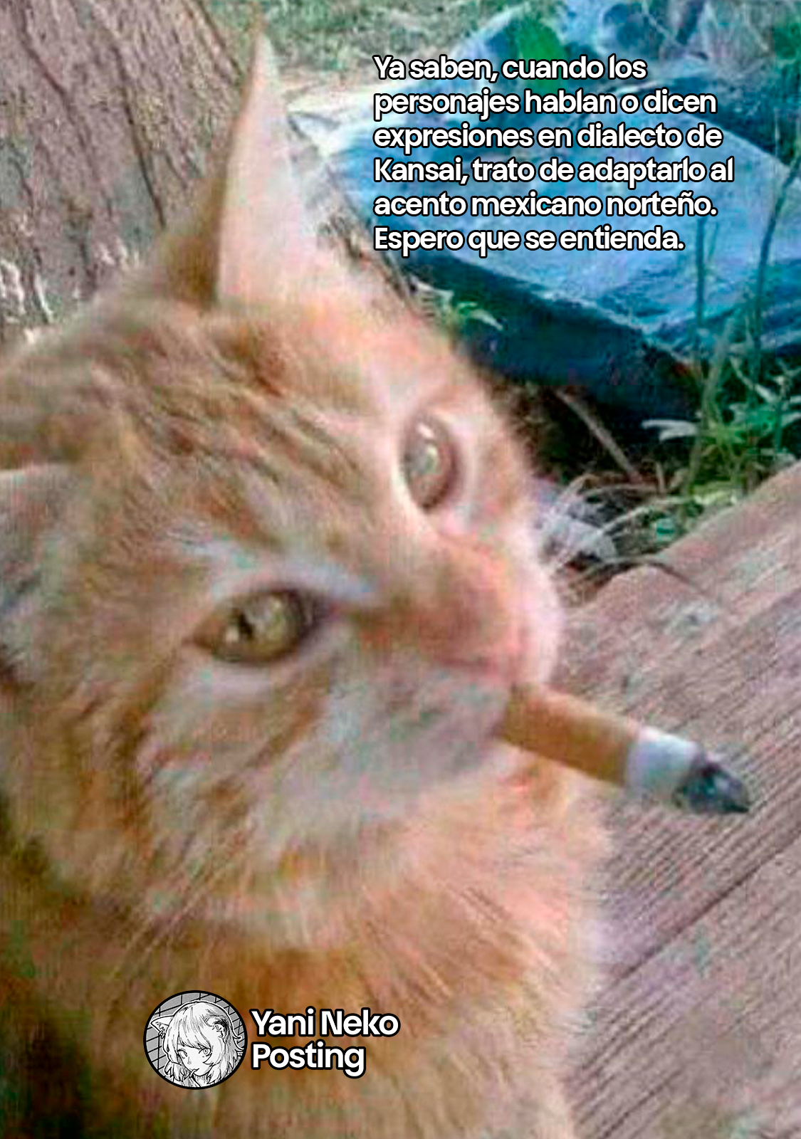 NICOTINEKO Capitulo 116 página 5