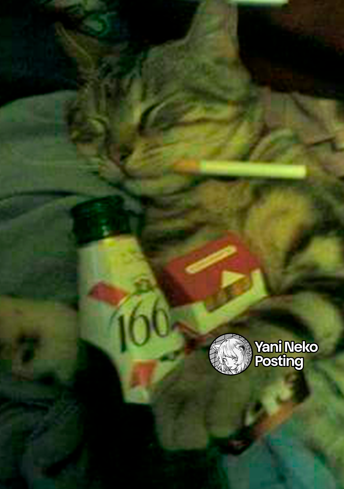 NICOTINEKO Capitulo 125 página 5