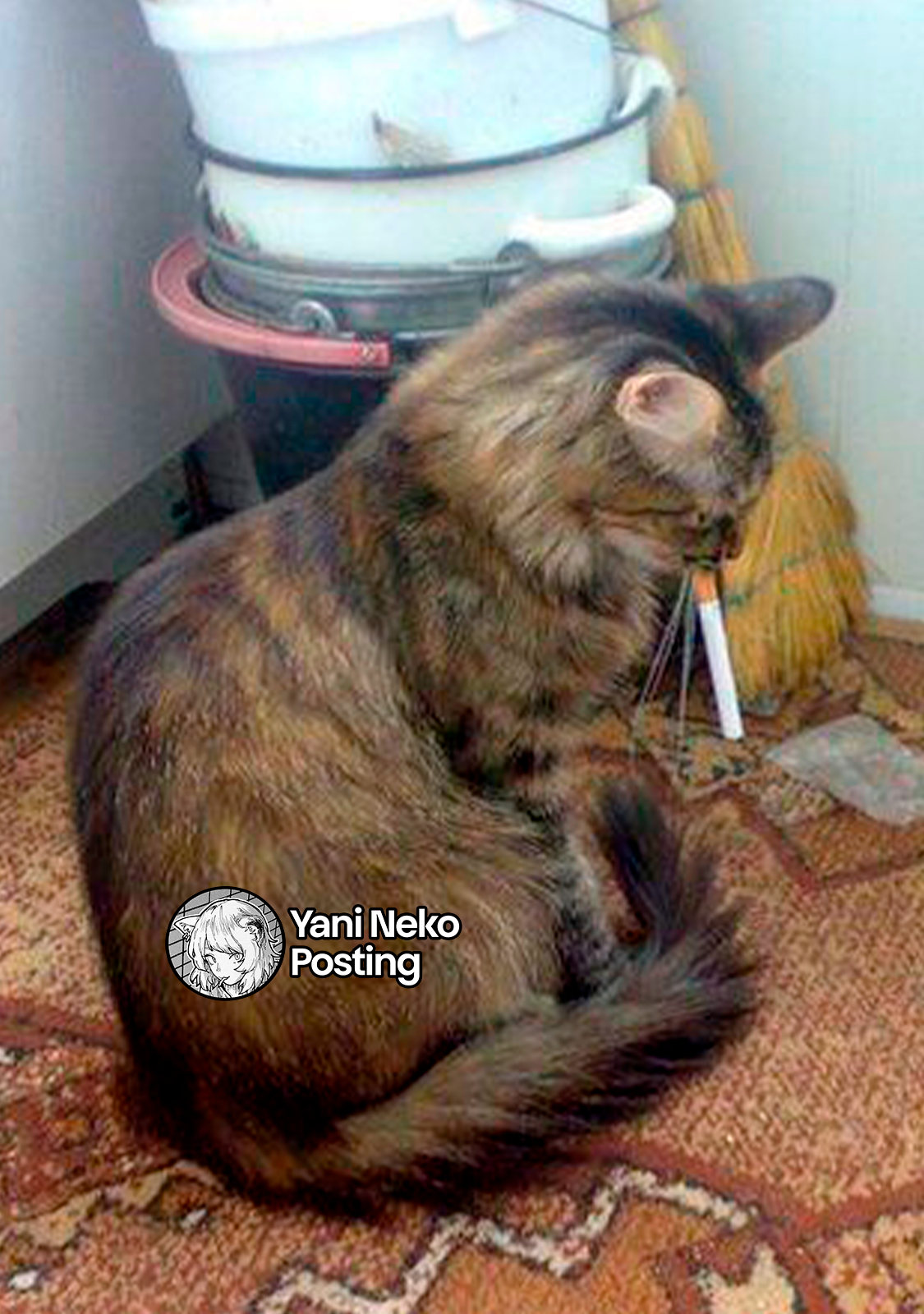 NICOTINEKO Capitulo 160 página 5