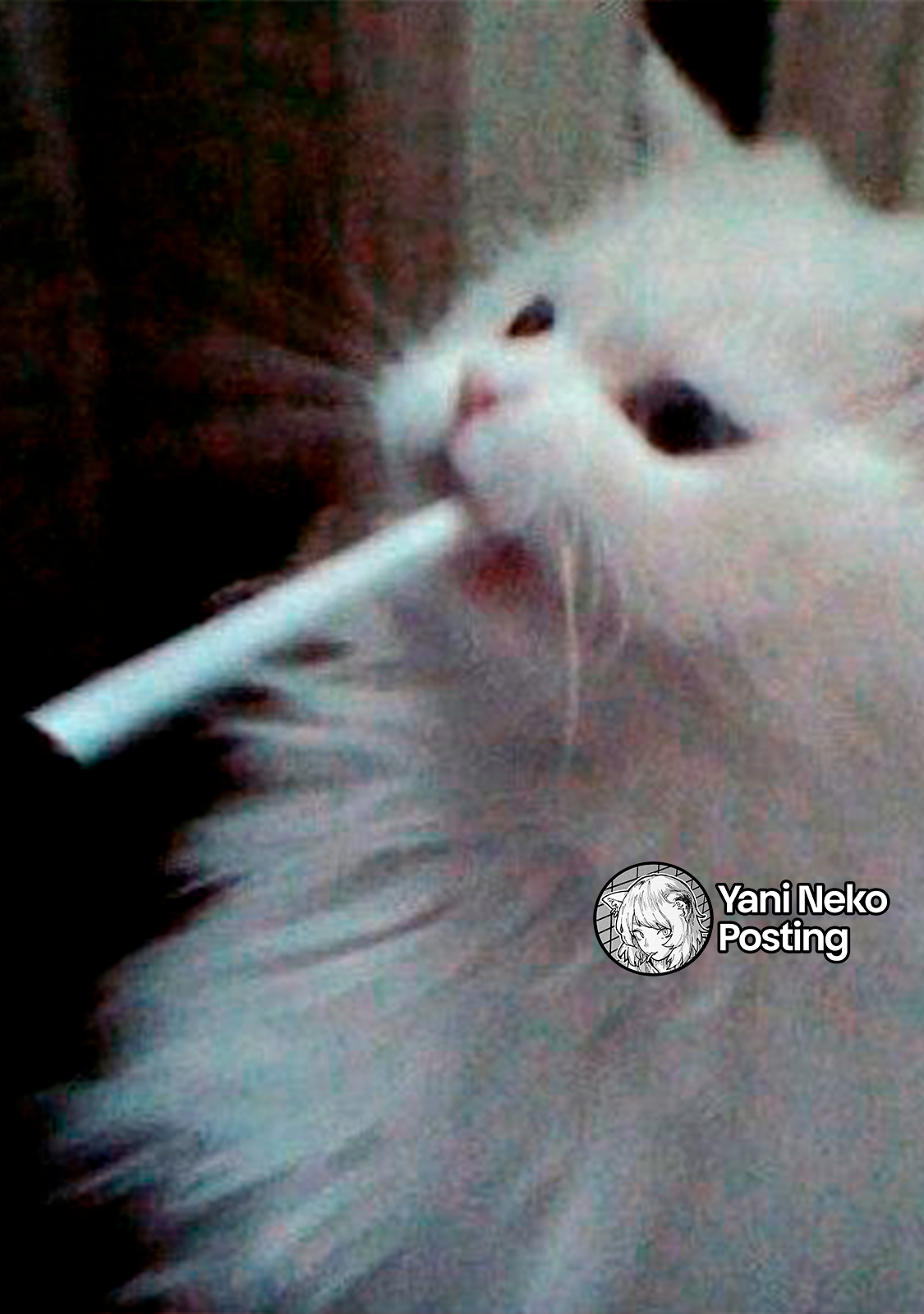 NICOTINEKO Capitulo 168 página 5
