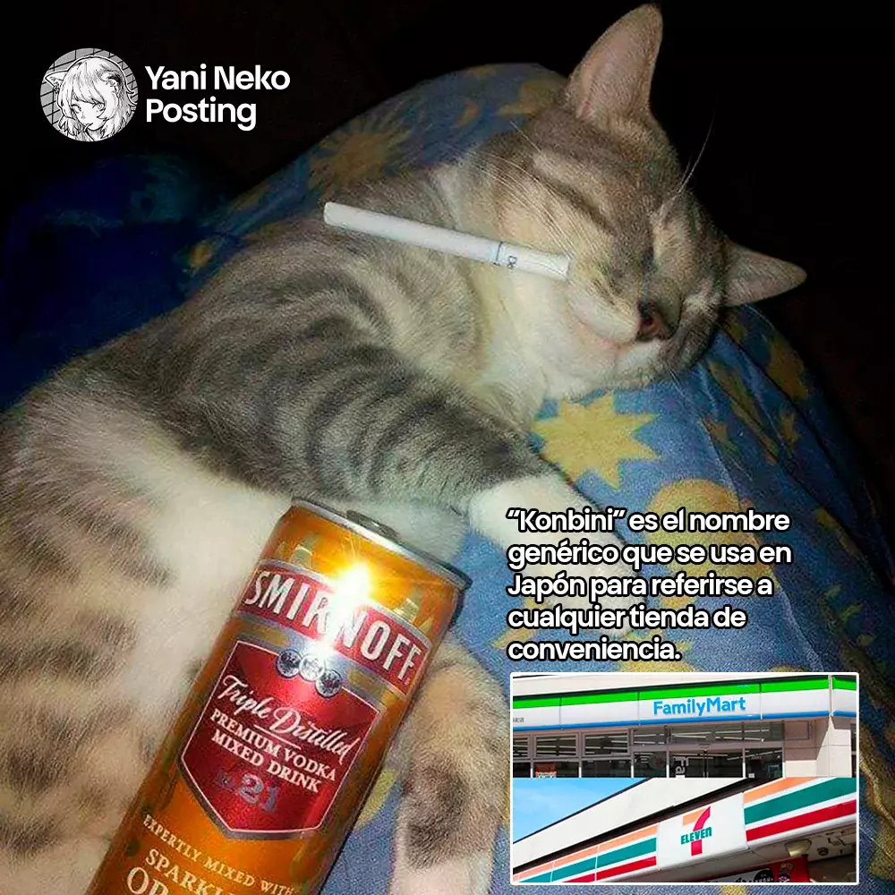 NICOTINEKO Capitulo 24: 24mg página 5
