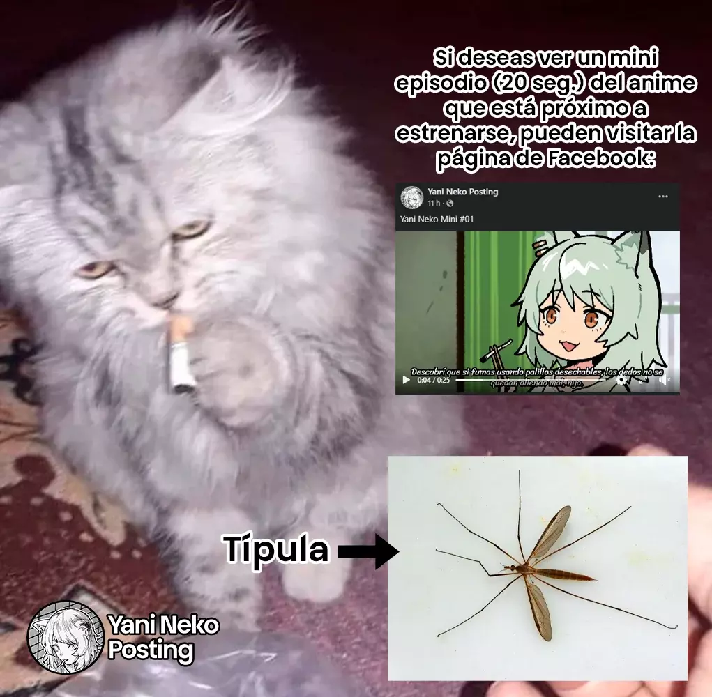 NICOTINEKO Capitulo 27: 27mg página 7