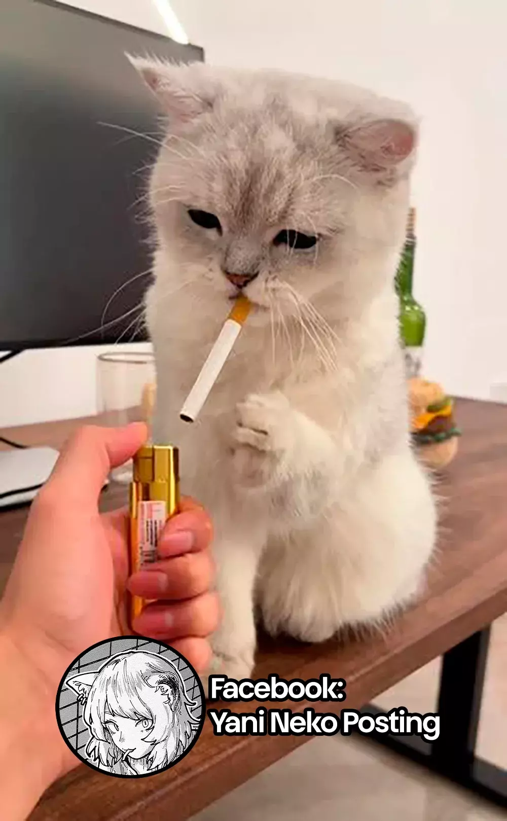 NICOTINEKO Capitulo 3: 3mg página 15