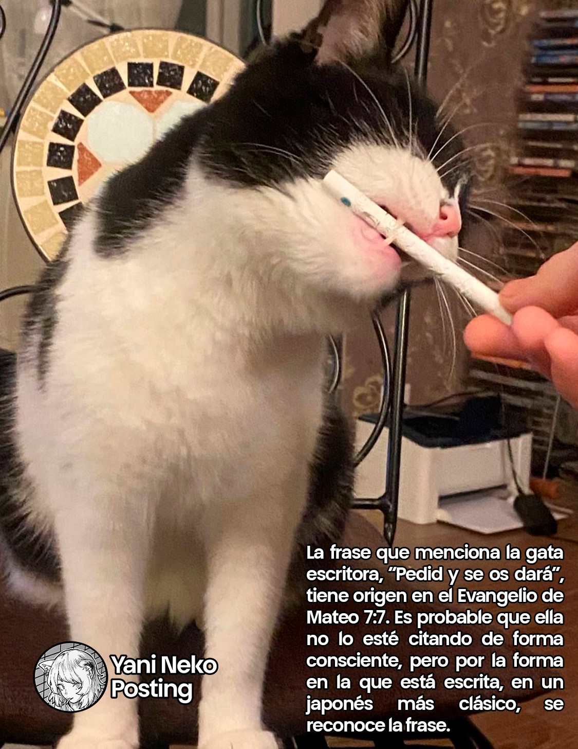 NICOTINEKO Capitulo 44 página 5