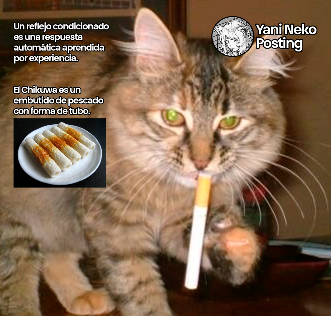 NICOTINEKO Capitulo 51 página 5