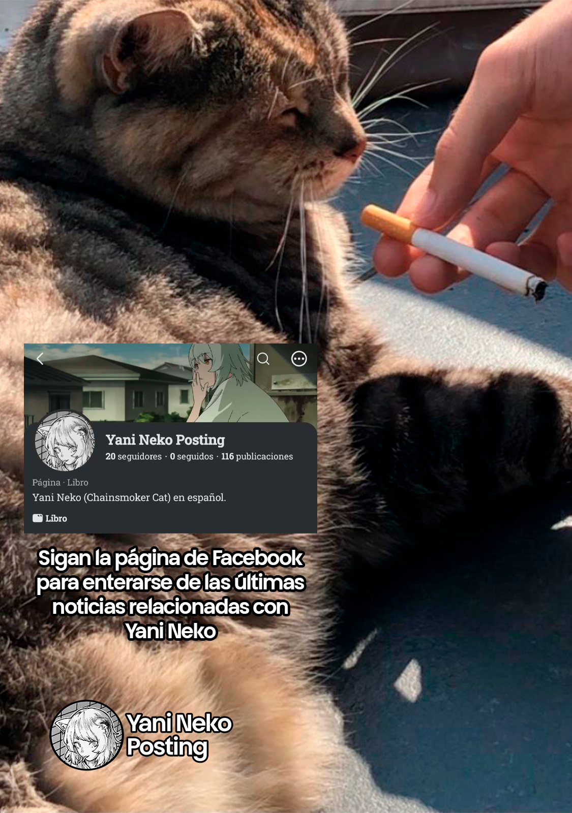NICOTINEKO Capitulo 98 página 5