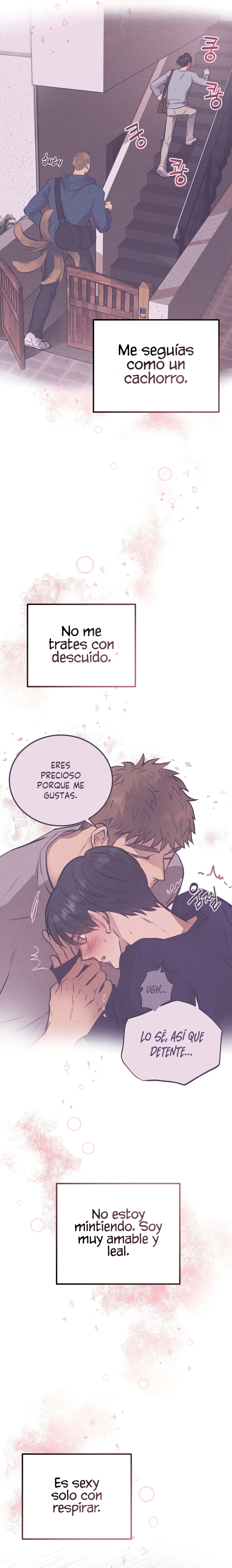 Osito De Miel Capitulo 24 página 17