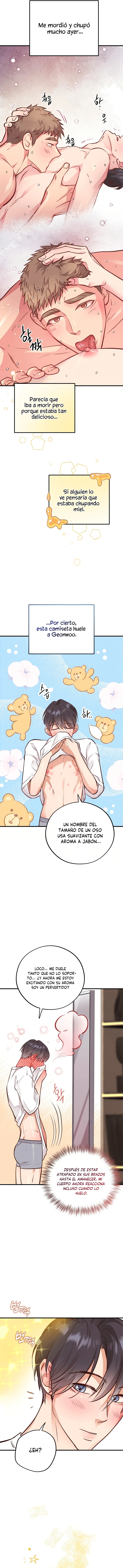 Osito De Miel Capitulo 29 página 14