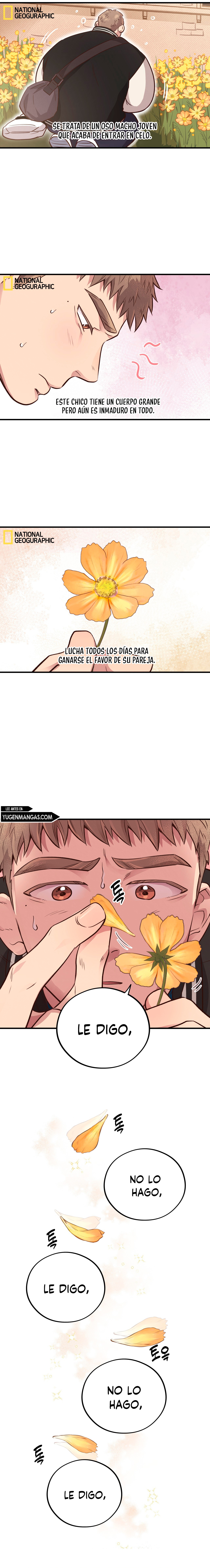 Osito De Miel Capitulo 31 página 2