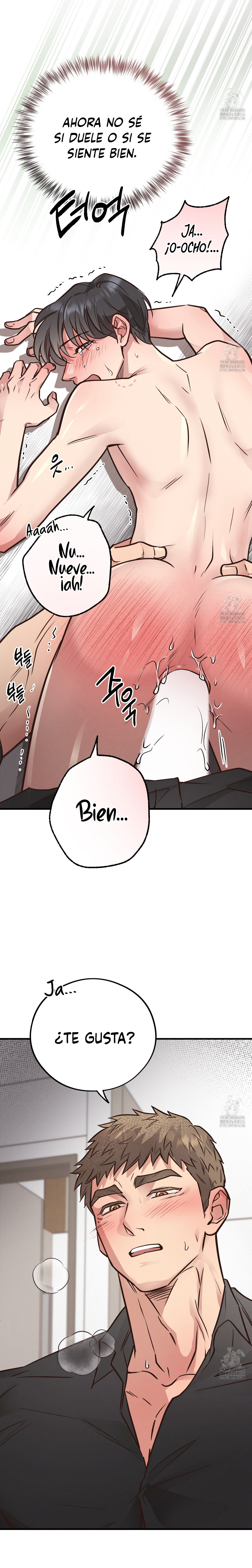 Osito De Miel Capitulo 41 página 22