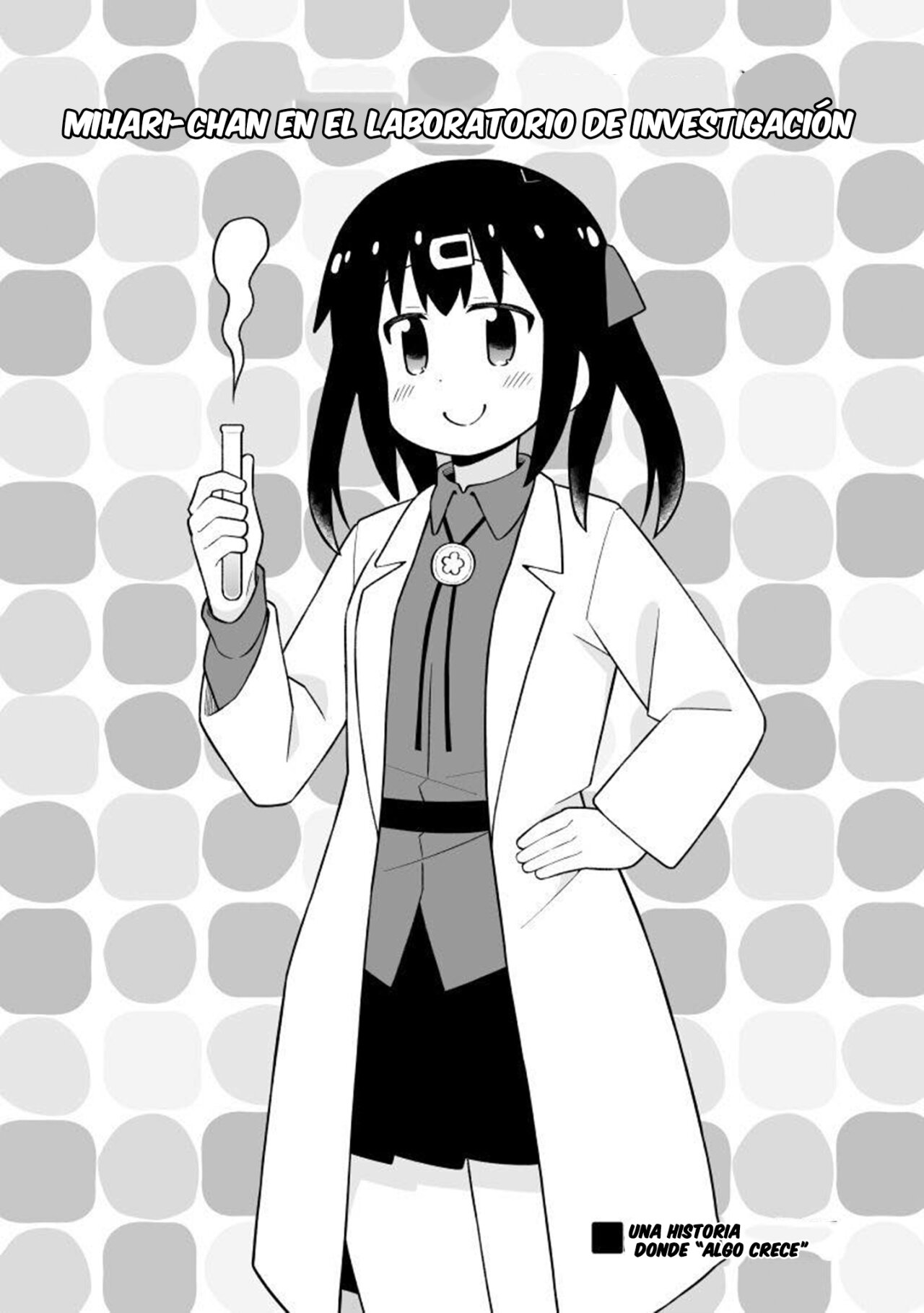 Onii-chan wa Oshimai Capitulo 76.5: Mihari en el laboratorio de investigación página 2