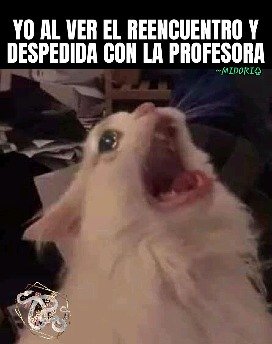 LA JOVEN CHEF ROYAL Capitulo 36 página 71