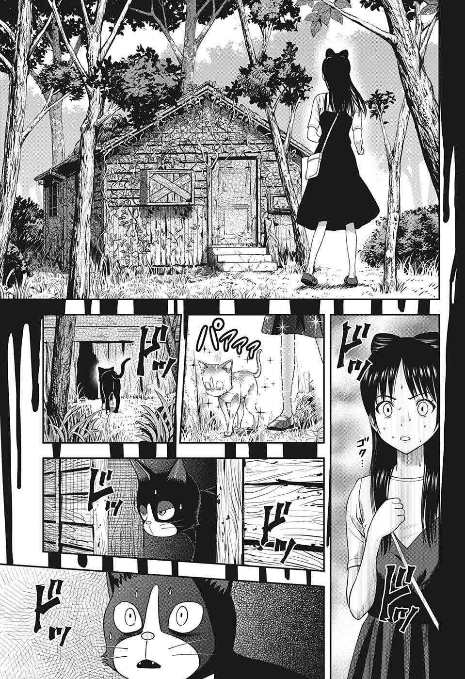 Witch Watch Capitulo 21: Gato callejero y las burbujas de la felicidad página 17
