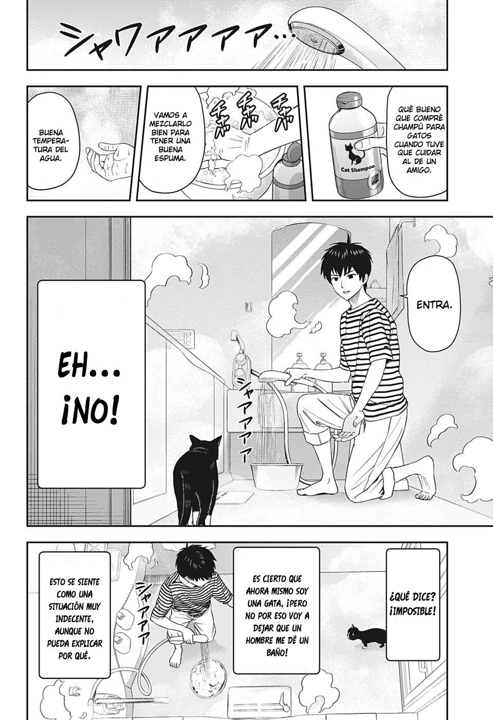 Witch Watch Capitulo 21: Gato callejero y las burbujas de la felicidad página 8