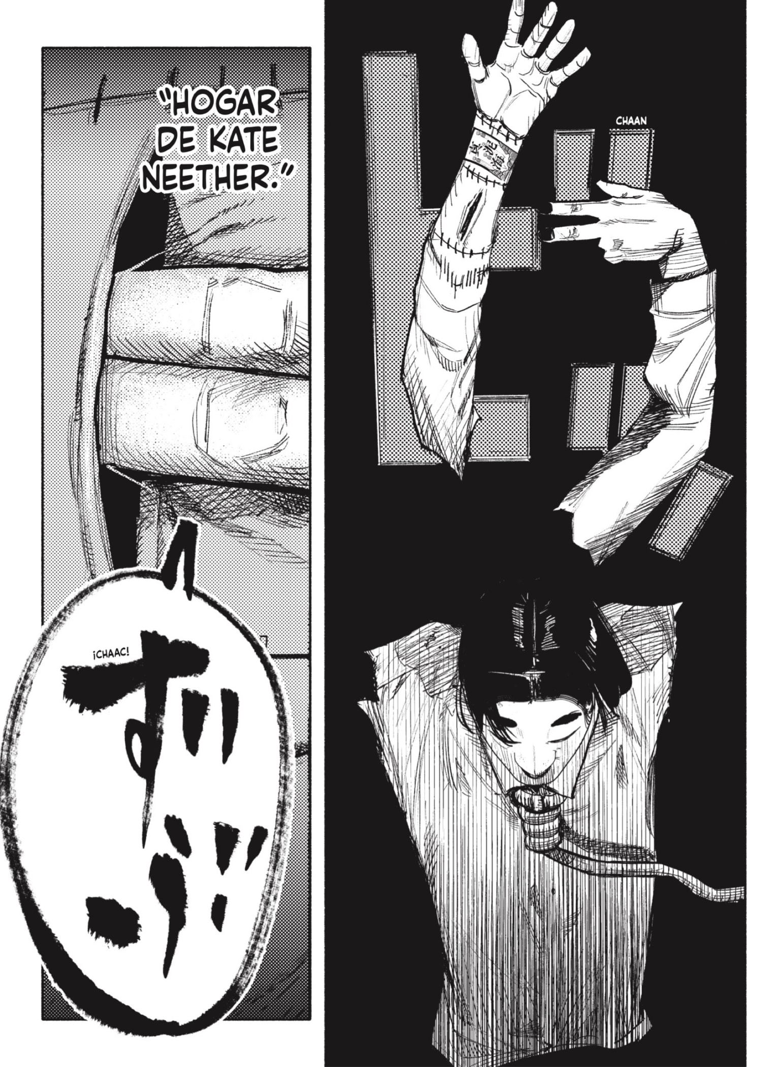 Choujin X Capitulo 34.3 página 16