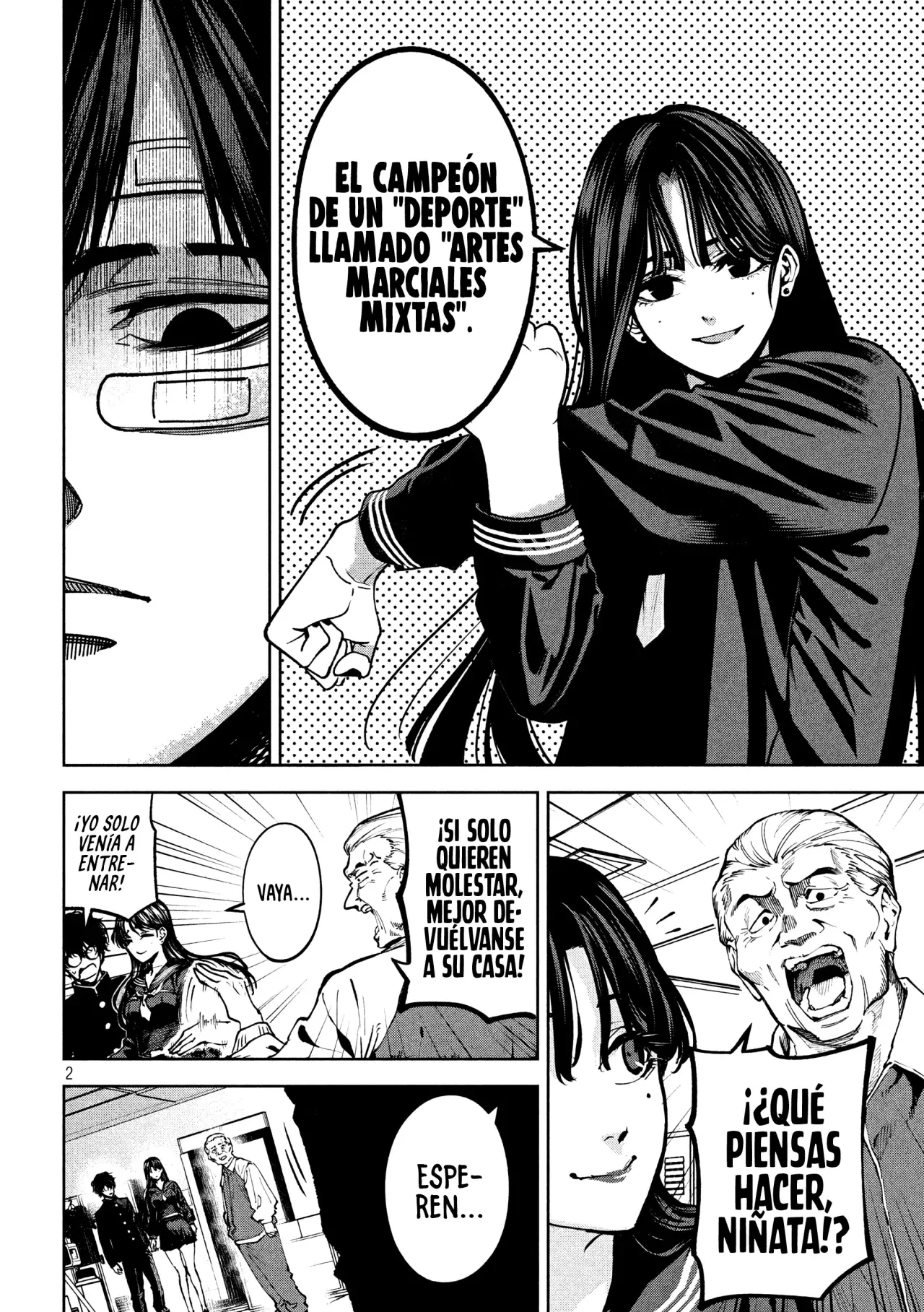 Bouryoku Banzai Capitulo 10: El jab del campeón página 5
