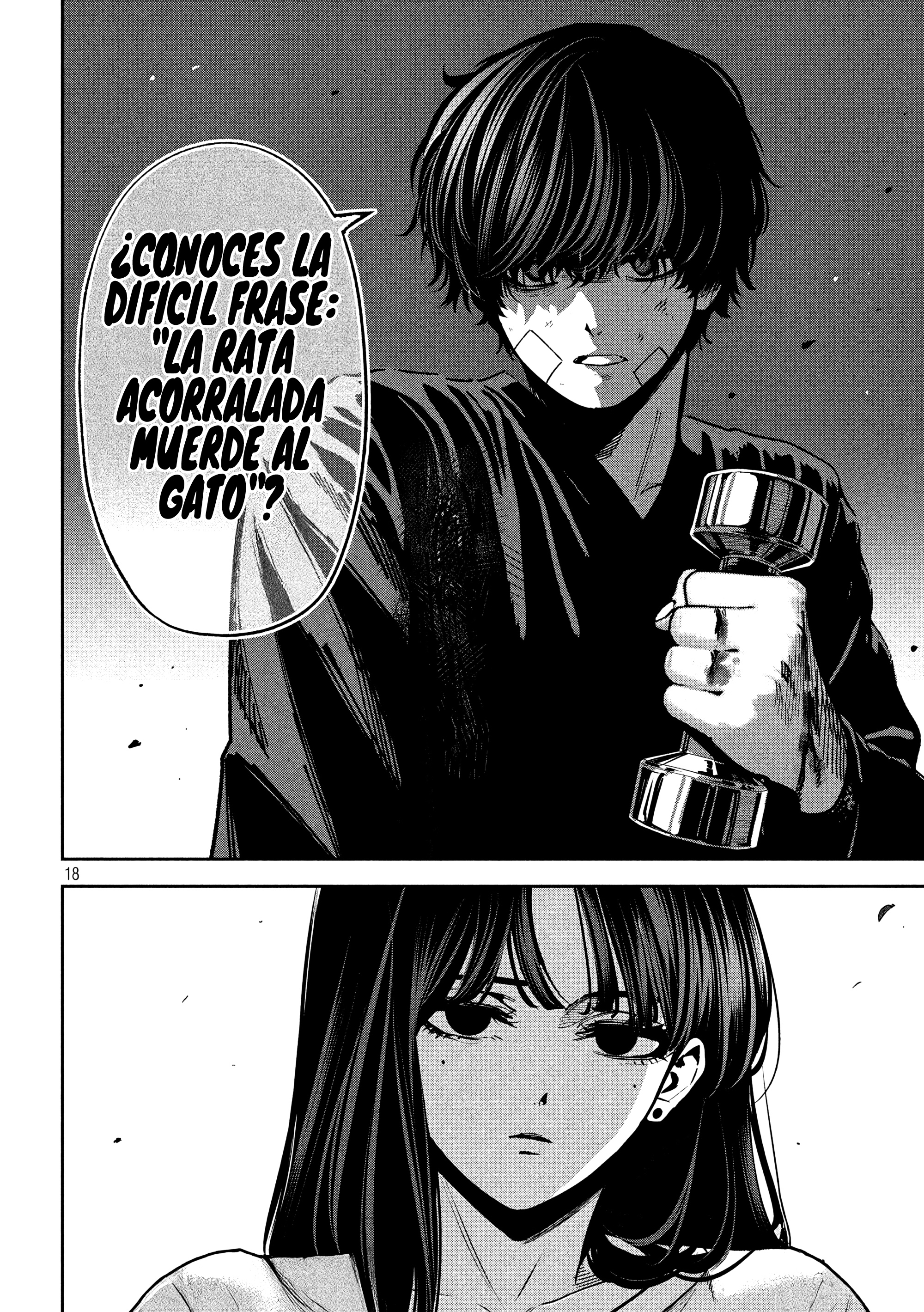 Bouryoku Banzai Capitulo 34 página 19