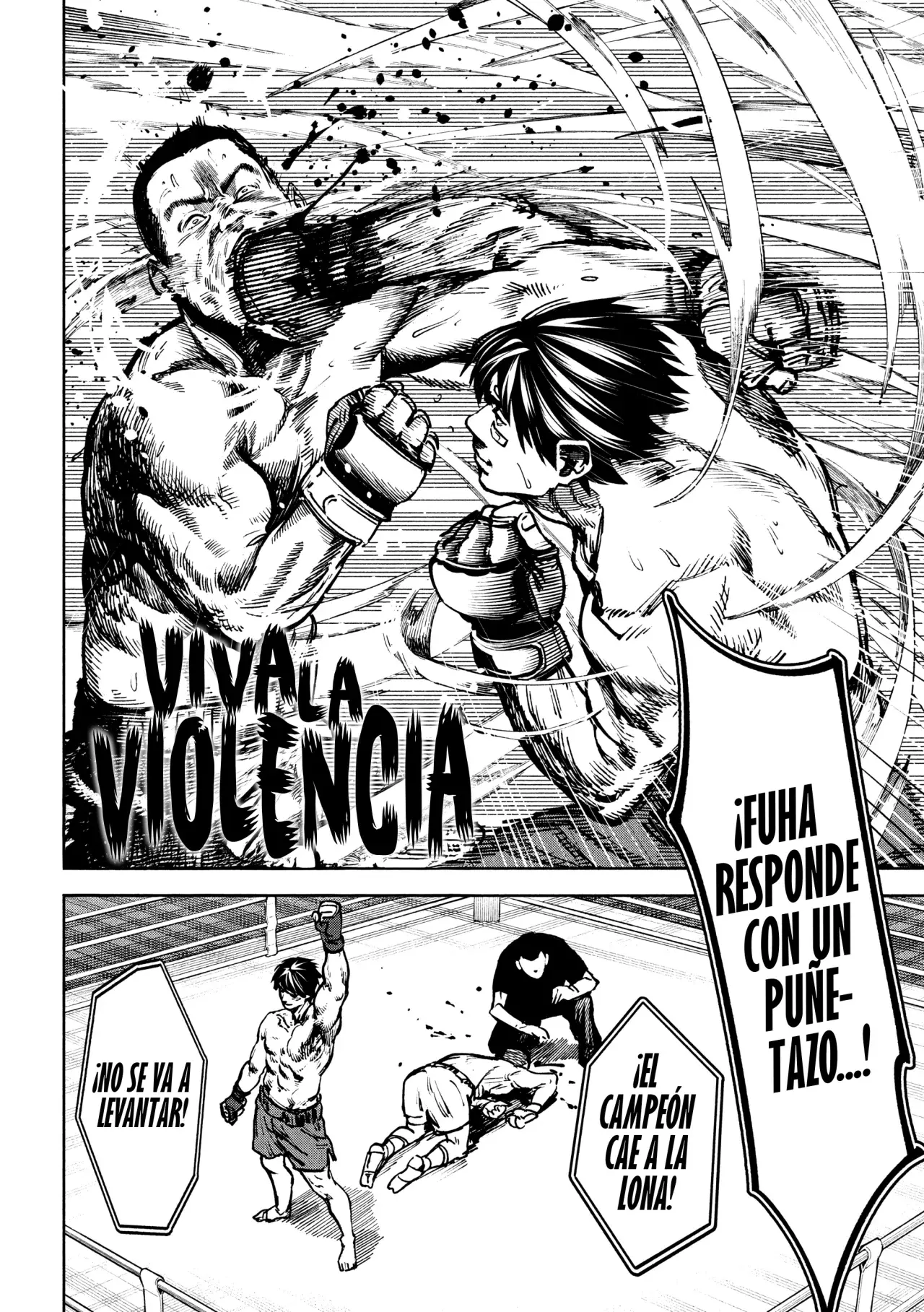 Bouryoku Banzai Capitulo 9: El campeón de MMA página 5