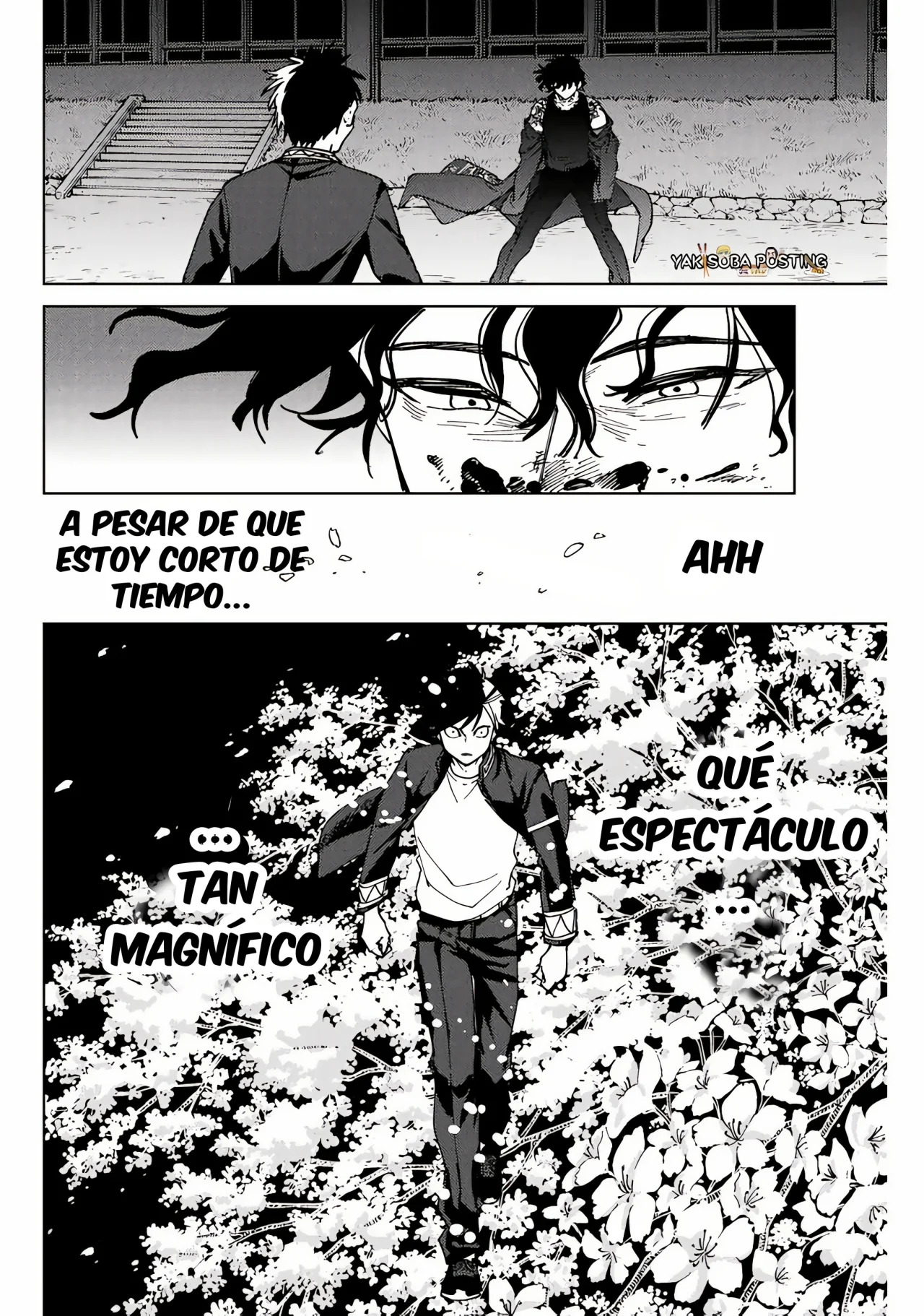 WIND BREAKER Capitulo 138: Florecer página 16