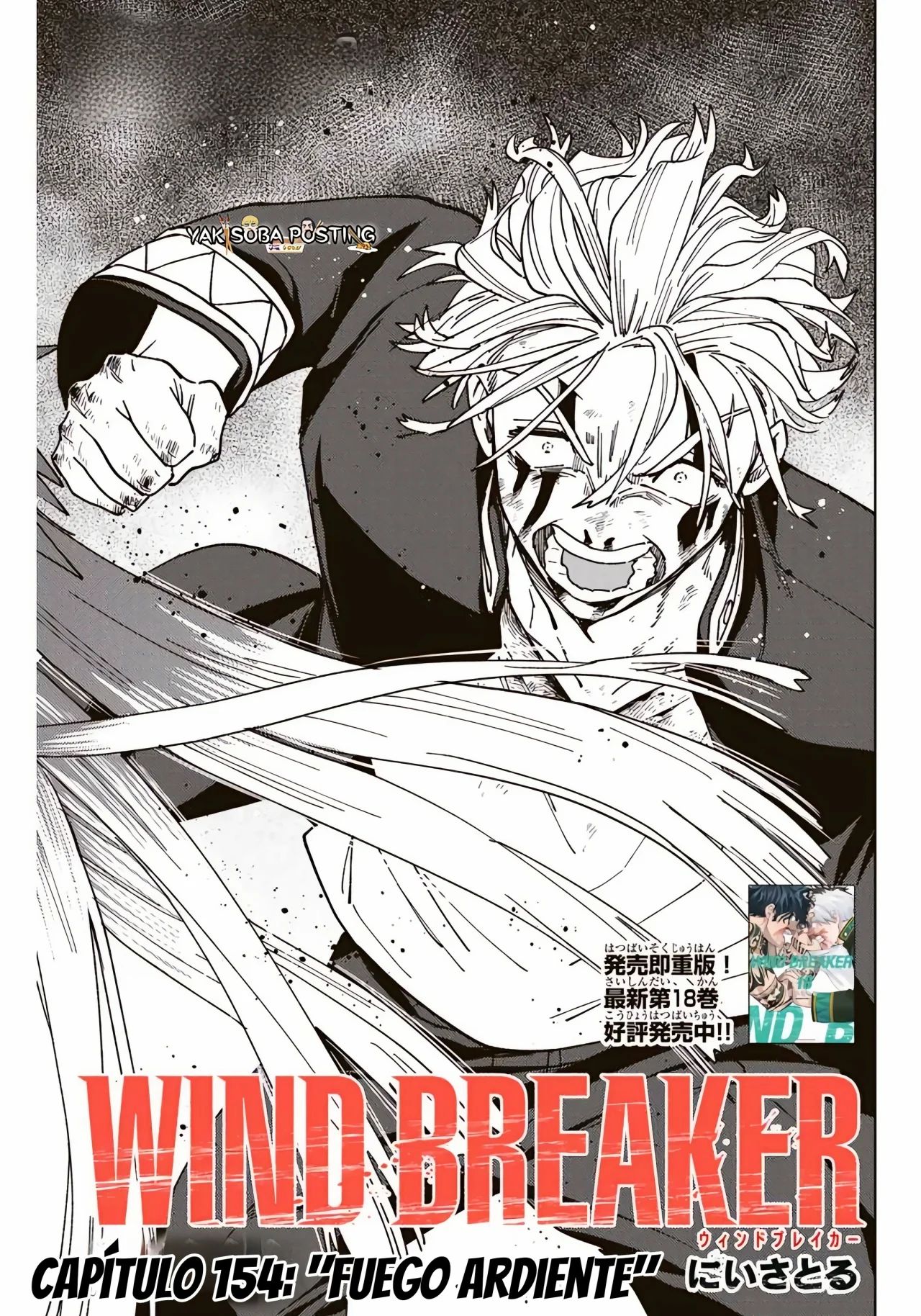 WIND BREAKER Capitulo 154 página 3